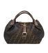 Fendi Zucca Spy, front view